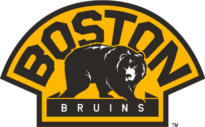 Boston Bruins 2007-Pres Alternate Logo t shirts iron on transfers